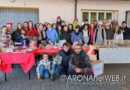 Mercatino_MercatinidiNatale_Mercurago_20241201_EGS2024_46503_s